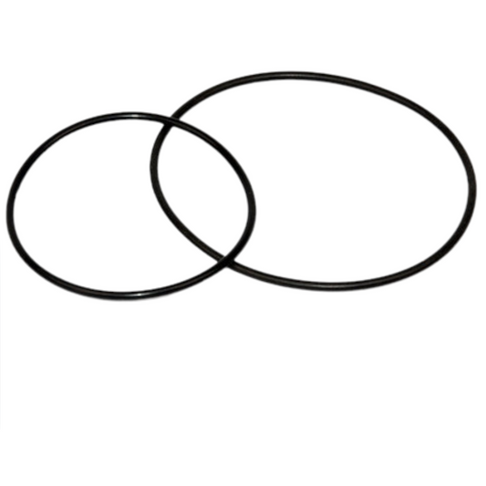 O-Ring (Dichtung)